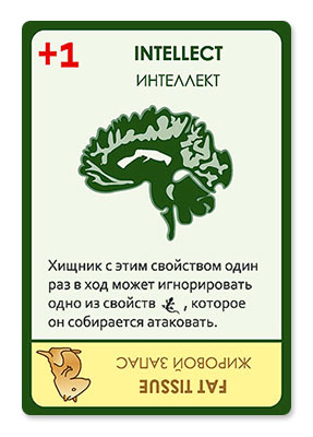 Настольная игра Эволюция, дополнение Время летать. Магазин Знаем Играем